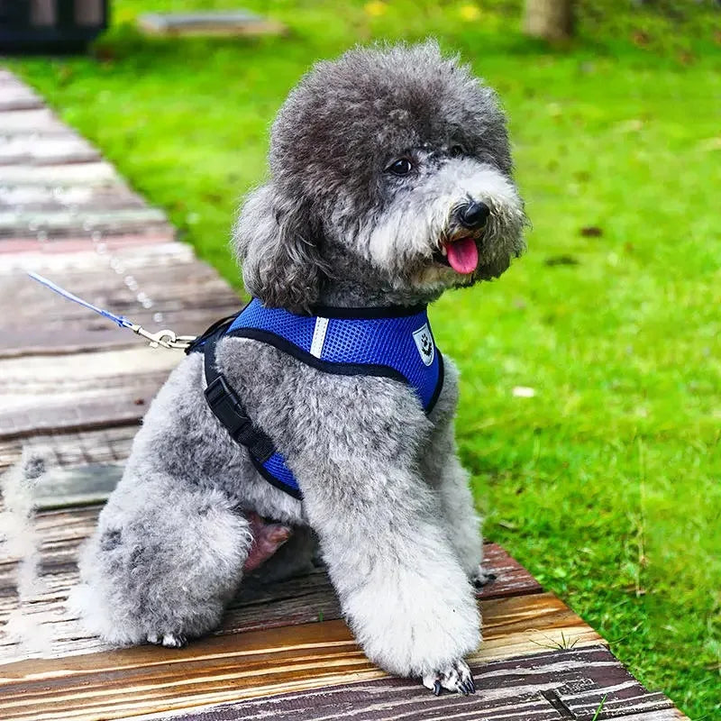 Coleira Peitoral para Cães e Gatos