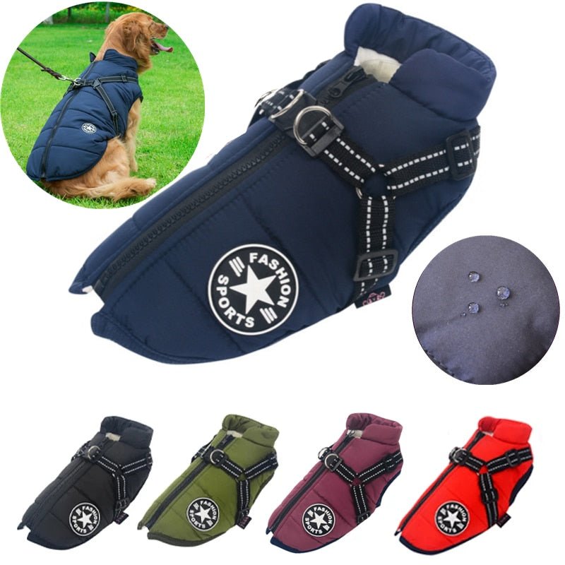 Colete Corta-Vento Fashion Sports | Roupa Para Cachorro